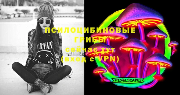 трава Няндома