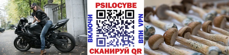 Галлюциногенные грибы мицелий Валуйки