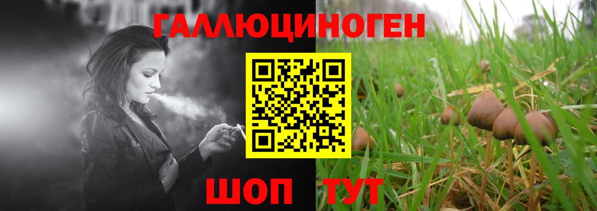 Псилоцибиновые грибы Cubensis  Вход с VPN  Валуйки 